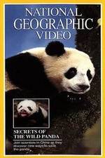 Watch Secrets of the Wild Panda M4ufreemovies