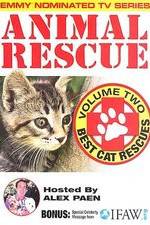 Watch Animal Rescue, Volume 2: Best Cat Rescues M4ufreemovies