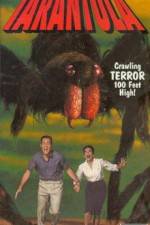Watch Tarantula M4ufreemovies