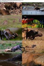 Watch National Geographic - World's Deadliest Lady Killers M4ufreemovies
