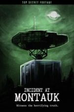 Watch Incident at Montauk M4ufreemovies