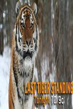 Watch Discovery Channel-Last Tiger Standing M4ufreemovies