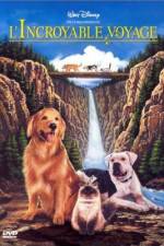 Watch Homeward Bound: The Incredible Journey M4ufreemovies