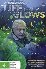 Watch Attenborough\'s Life That Glows M4ufreemovies