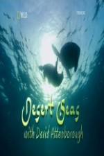 Watch National Geographic Desert Seas M4ufreemovies
