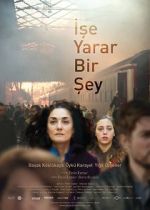 Watch Something Useful M4ufreemovies