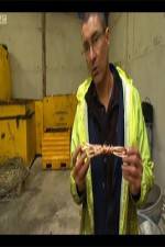 Watch The Hunt for Great Britains Metal Thieves M4ufreemovies