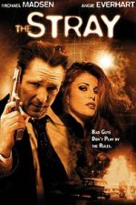Watch The Stray M4ufreemovies