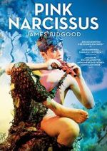 Pink Narcissus
