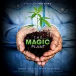 Watch The Magic Plant M4ufreemovies