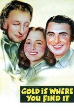 Watch Gold Is Where You Find It M4ufreemovies