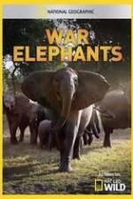 Watch War Elephants M4ufreemovies
