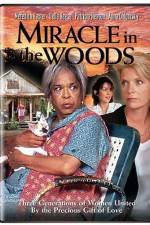 Watch Miracle in the Woods M4ufreemovies