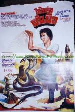 Watch Snake in the Eagle's Shadow II M4ufreemovies