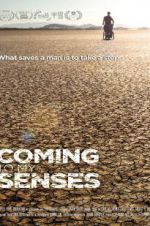 Watch Coming to My Senses M4ufreemovies