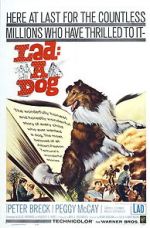 Watch Lad: A Dog M4ufreemovies