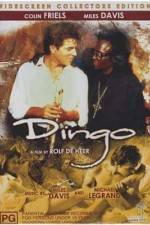 Watch Dingo M4ufreemovies