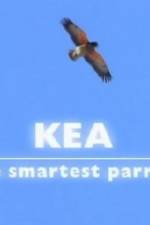 Watch Kea - The Smartest Parrot M4ufreemovies