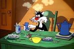 Watch The Last Hungry Cat M4ufreemovies