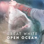 Watch Great White Open Ocean M4ufreemovies