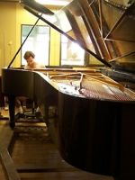 Watch Note by Note: The Making of Steinway L1037 M4ufreemovies