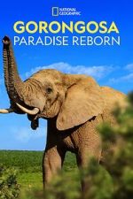 Watch Gorongosa: Paradise Reborn (Short 2022) M4ufreemovies