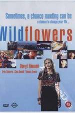 Watch Wildflowers M4ufreemovies