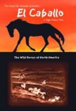 Watch El Caballo: The Wild Horses of North America M4ufreemovies