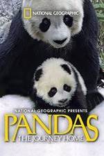 Watch Pandas: The Journey Home M4ufreemovies