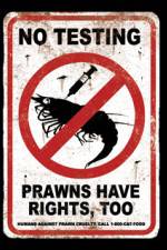 Watch Wikus and Charlize M4ufreemovies