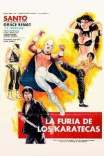 Watch The Fury of the Karate Experts M4ufreemovies
