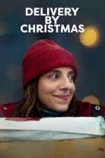Watch Delivery by Christmas M4ufreemovies