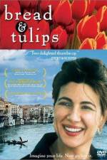 Watch Bread & Tulips M4ufreemovies