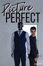 Watch Picture Perfect M4ufreemovies