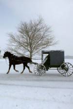 Watch Leaving Amish Paradise M4ufreemovies