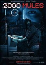 Watch 2000 Mules M4ufreemovies