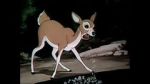 Watch Wacky Wildlife (Short 1940) M4ufreemovies