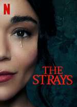 Watch The Strays M4ufreemovies