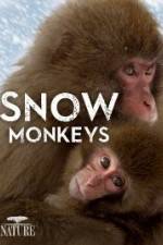 Watch Nature: Snow Monkeys M4ufreemovies