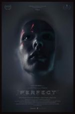 Watch Perfect M4ufreemovies