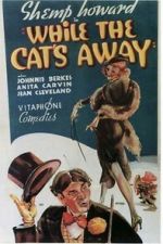While the Cat\'s Away