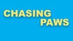 Watch Chasing Paws (Short 2020) M4ufreemovies