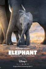 Watch Elephant M4ufreemovies