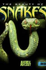 Watch The Beauty of Snakes M4ufreemovies