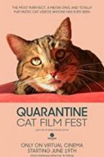 Watch Quarantine Cat Film Fest M4ufreemovies