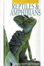 Watch Reptiles and Amphibians M4ufreemovies