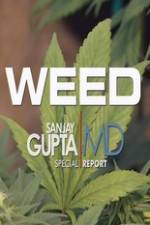 Watch CNN Weed Sanjay Gupta Report M4ufreemovies