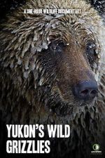 Watch Yukon\'s Wild Grizzlies M4ufreemovies