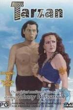 Watch Tarzan's Desert Mystery M4ufreemovies