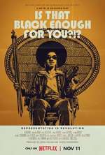 Watch Is That Black Enough for You?!? M4ufreemovies